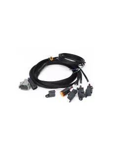 KIT DE CÂBLAGE QUATRE LAMPES AVEC CONNECTEUR DT04-08 (4-BROC