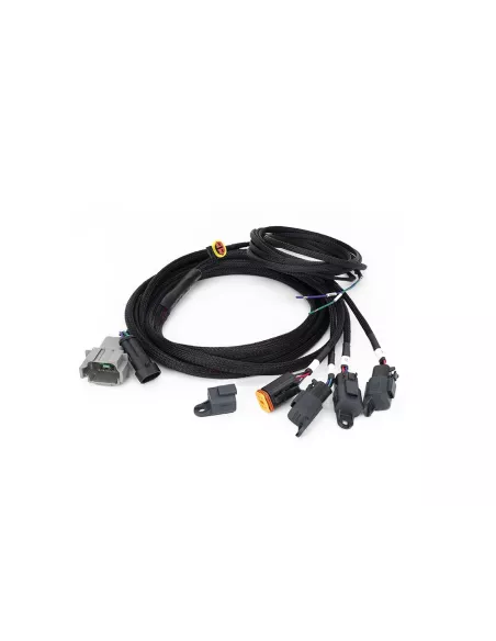 KIT DE CÂBLAGE QUATRE LAMPES AVEC CONNECTEUR DT04-08 (4-BROC