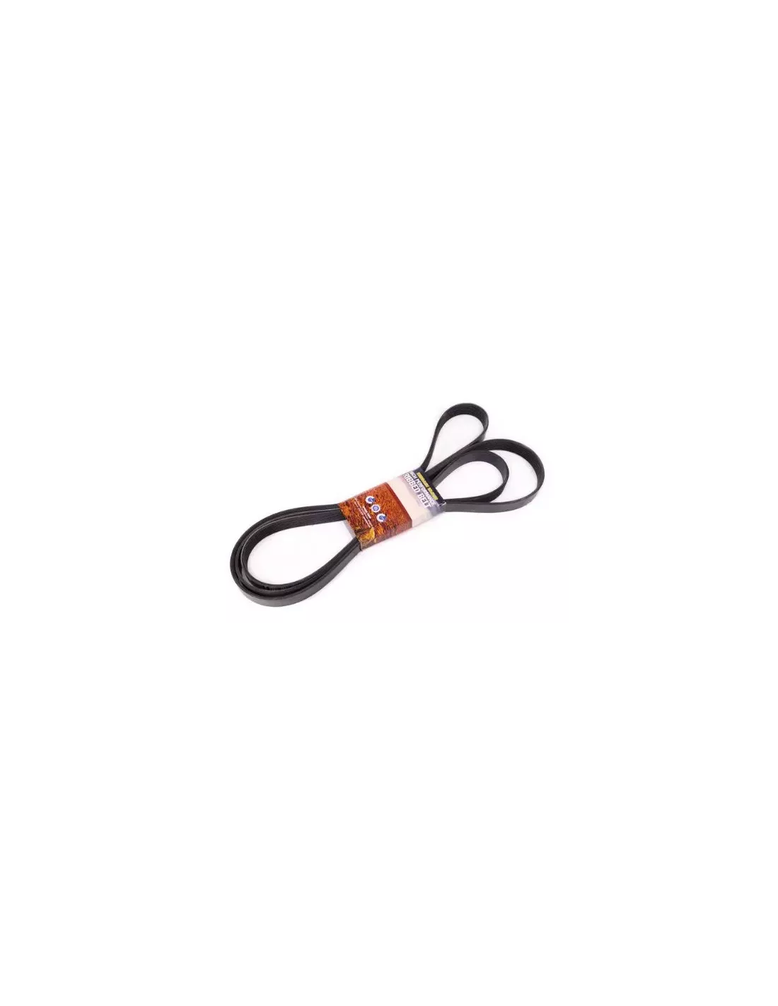 Courroie serpentine P4AT 2.2L Terrain Tamer