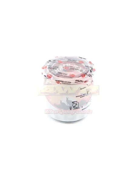 Filtre à huile (Z516) Terrain Tamer pour Ford Courier