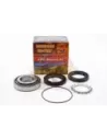 Kit roulement de roue arrière compatible ABS Terrain Tamer