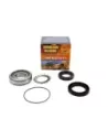 Kit roulement de roue arrière Terrain Tamer sans ABS