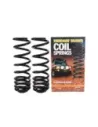 Ressorts hélicoïdaux arrière rehaussés 30-40mm Terrain Tamer