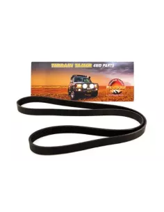 Courroie d'accessoires Diesel Terrain Tamer 6PK1555