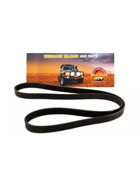 Courroie d'accessoires Diesel Terrain Tamer 6PK1555