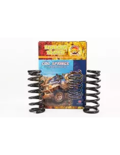 Ressorts avant rehaussés 25mm Terrain Tamer