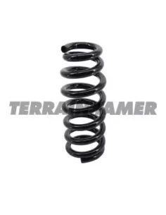 Ressorts avant rehaussés 25 mm 100kg V6 Terrain Tamer 2