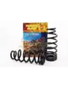 Ressorts hélicoïdaux arrière relevés 40 mm Terrain Tamer