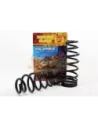 Ressorts arrière surélevés 40 mm 100 kg Terrain Tamer