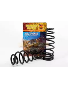 Ressorts arrière surélevés 40 mm 100 kg Terrain Tamer 2