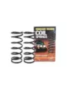 Ressorts hélicoïdaux arrière relevés 20mm 50kg Terrain Tamer