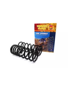 Ressorts arrière relevés 40mm 100kg confort progressif LWB T 2
