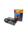 Ressorts arrière relevés 40mm 100kg confort progressif LWB T