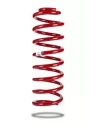 RESSORT ARRIERE PEDDERS JEEP GRAND CHEROKEE ZG