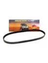 Courroie climatisation 6VD1 V6 3.2L Terrain Tamer