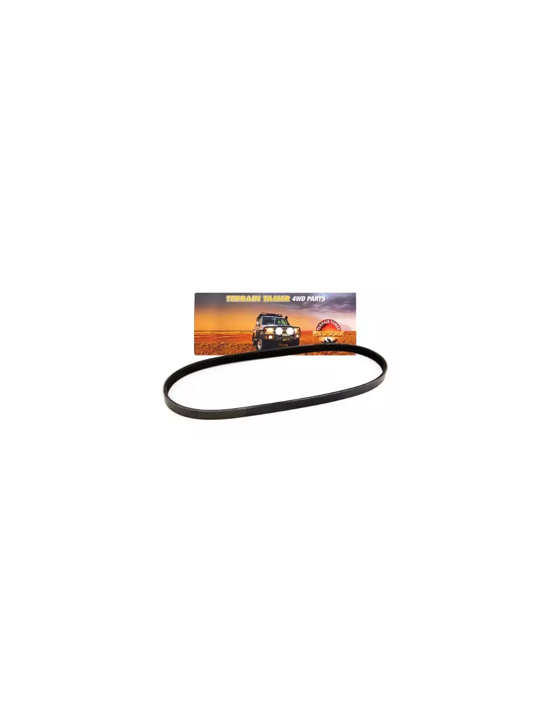 Courroie climatisation 6VD1 V6 3.2L Terrain Tamer