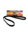 Courroie ventilateur alternateur pompe direction TRITON 2WD