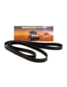 Courroie crantée multipistes TRITON ML 6G74 2008-