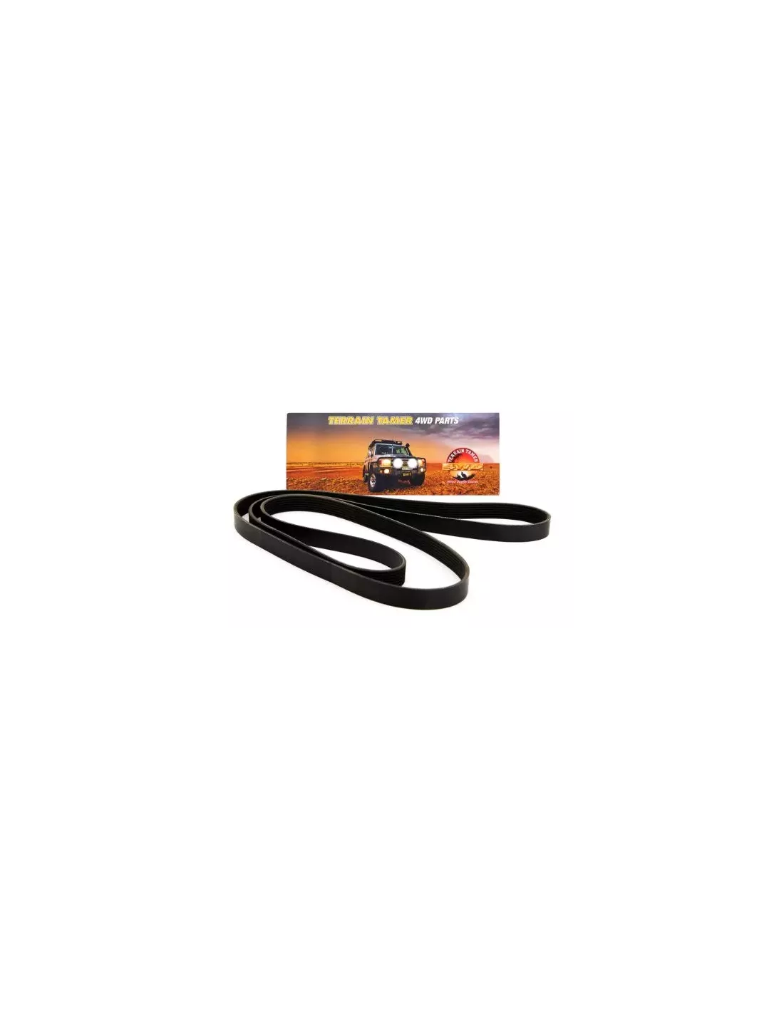 Courroie crantée multipistes TRITON ML 6G74 2008-