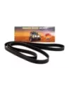 Courroie crantée multipistes TRITON ML 6G74 2008-