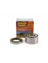 Kit roulement de roue arrière Terrain Tamer WBK25