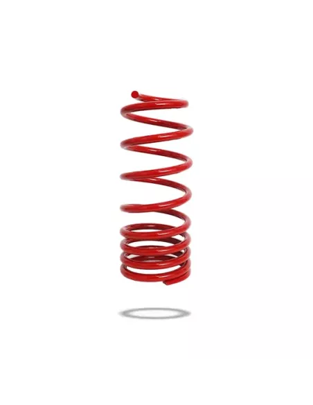RESSORT ARR. PEDDERS HD TRAKRYDER TOYOTA LC250/300