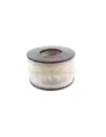 Filtre à air Terrain Tamer A1158
