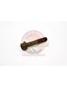 Boulon de couronne Terrain Tamer 90105-12087