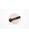 Boulon de couronne Terrain Tamer 90105-12087