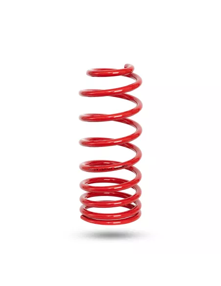 RESSORT ARR. PEDDERS TOYOTA LC250