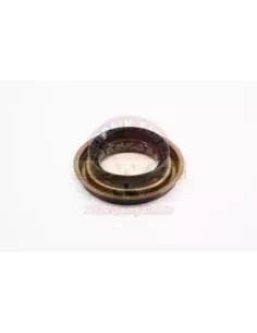 Joint spi pignon différentiel Terrain Tamer SA0127165A 2