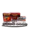 Kit majeur filtre et entretien Terrain Tamer TFK3MS