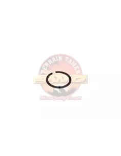 Circlip flasque essieu avant Terrain Tamer T1.1