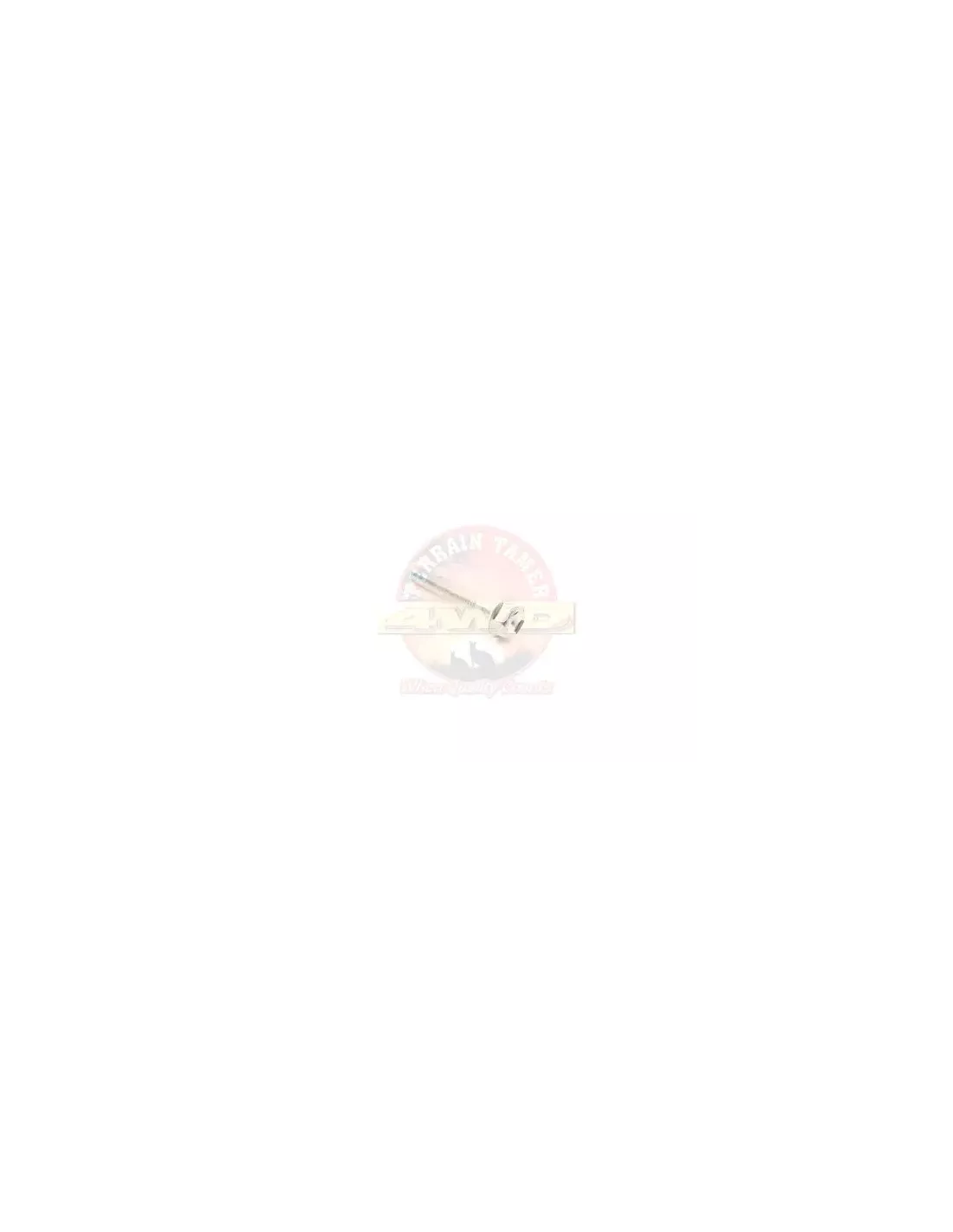 Boulon couvre-culasse Terrain Tamer 90105-06138