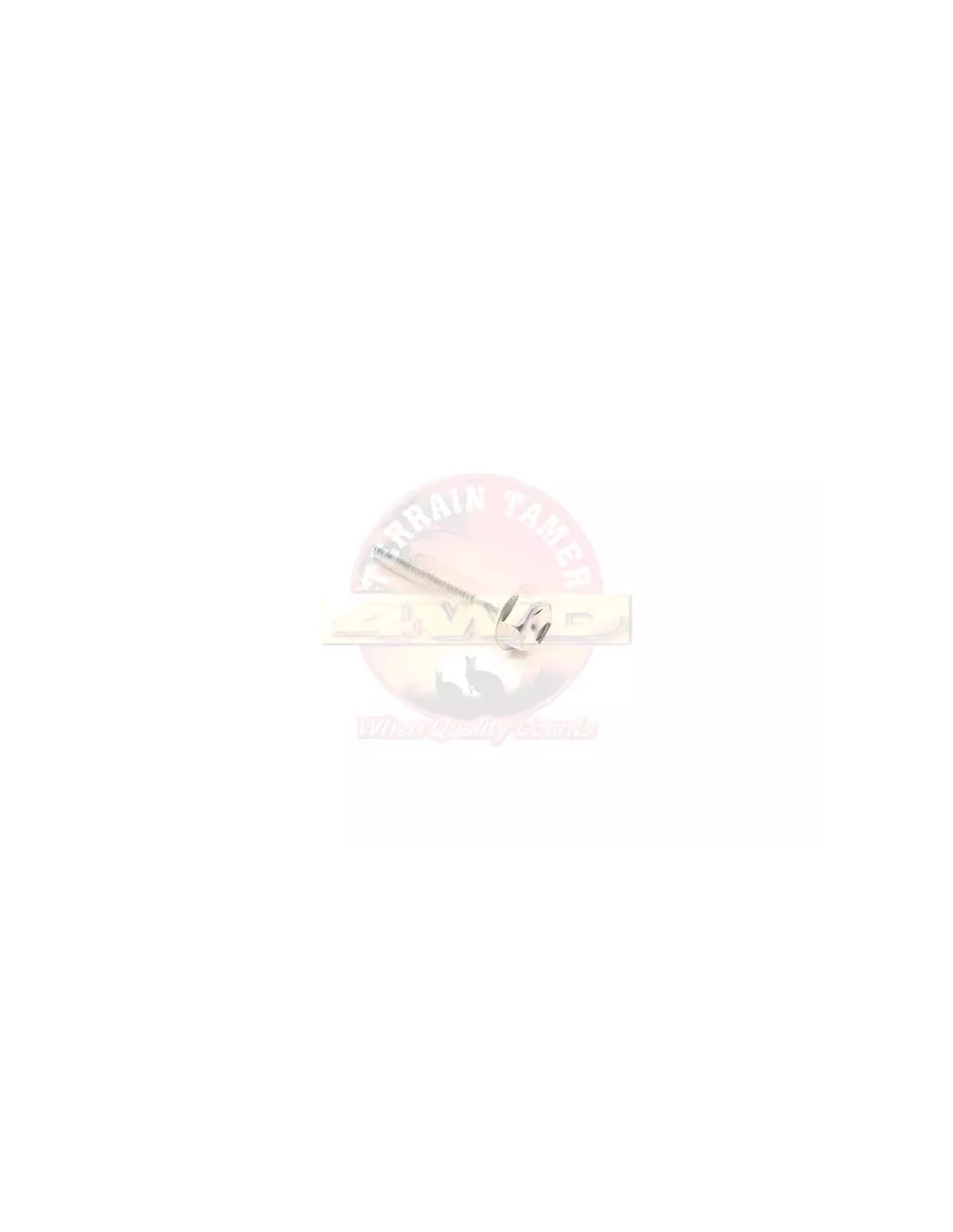 Boulon couvre-culasse Terrain Tamer 90105-06138