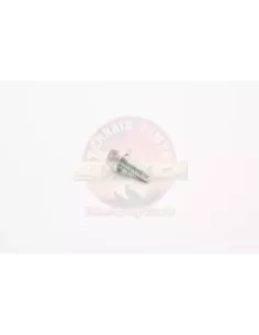 Boulon avec rondelle pour carter moteur Terrain Tamer 2