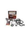 Kit réparation pivot direction Terrain Tamer avec roulements