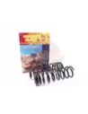Ressorts hélicoïdaux arrière rehaussés Terrain Tamer 30-40mm