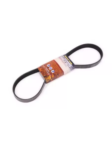 Courroie d'accessoires 4JJ1TC 3.0L Terrain Tamer