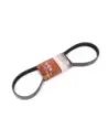 Courroie d'accessoires 4JJ1TC 3.0L Terrain Tamer