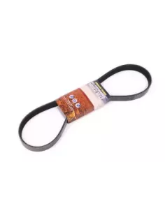 Courroie d'accessoires 4JJ1TC 3.0L Terrain Tamer 2