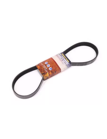 Courroie d'accessoires 4JJ1TC 3.0L Terrain Tamer