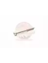 Boulon Capuchon Palier Vilebrequin N°1 Terrain Tamer