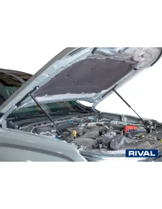 VERIN CAPOT RIVAL FORD RANGER/RAPTOR 2023 - 2