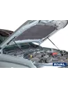 VERIN CAPOT RIVAL FORD RANGER/RAPTOR 2023 -