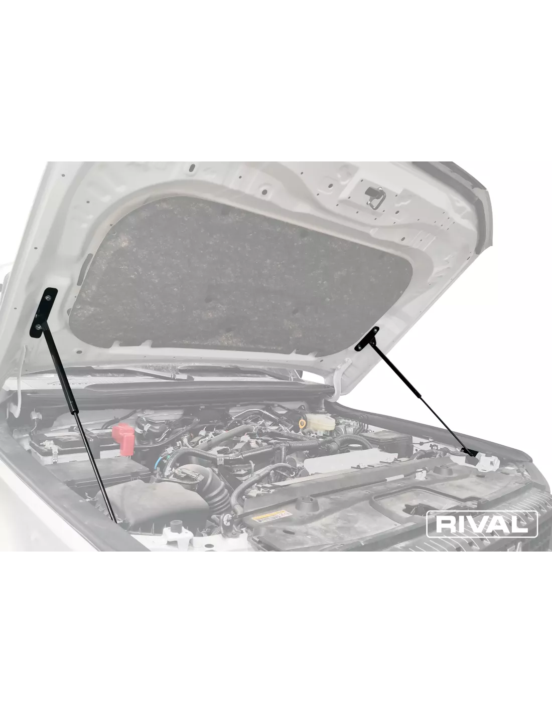 VERIN CAPOT RIVAL TOYOTA LC250 2025-