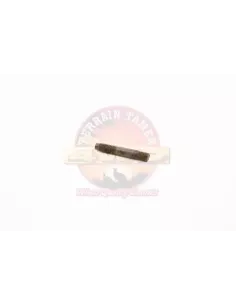 Boulon collecteur échappement Terrain Tamer 90116-08222