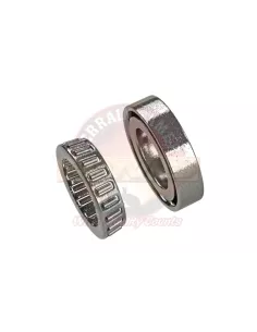 Roulement de différentiel hemi-sphère Terrain Tamer 2