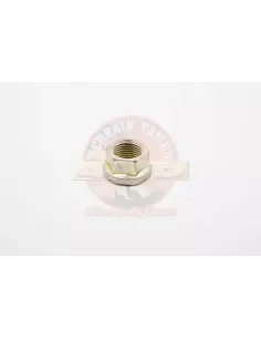 Écrou de boulon de cardan Terrain Tamer 90179-11005