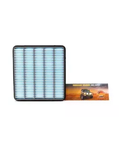 Filtre à air Terrain Tamer 17801-51020